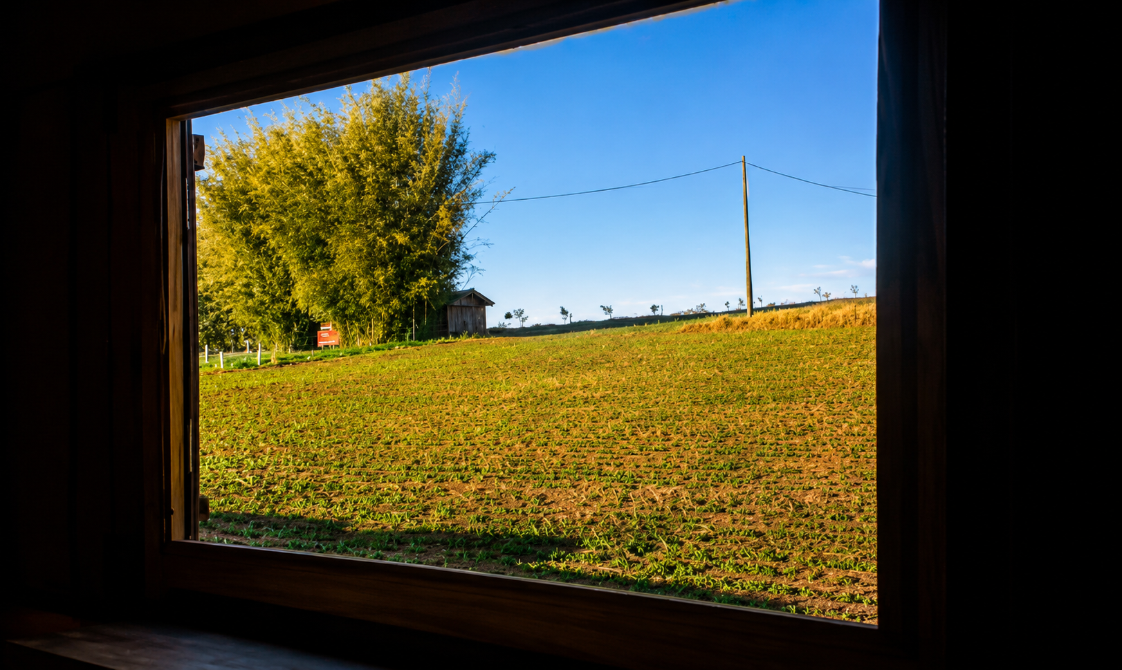Vista do campo a partir da janela do chalé